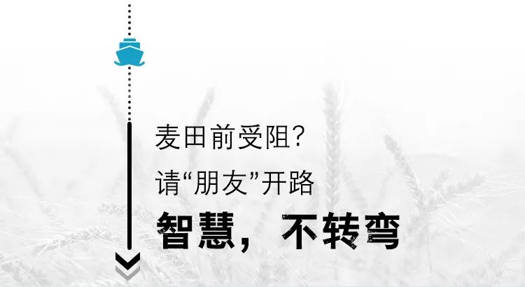 金寧汽車
