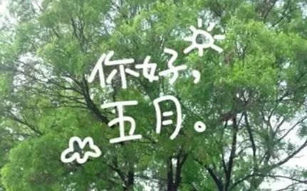 金寧汽車