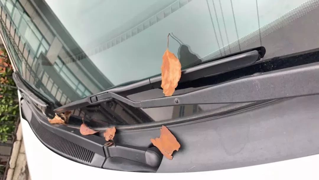 微信图片_20190530103549.jpg 金寧汽車